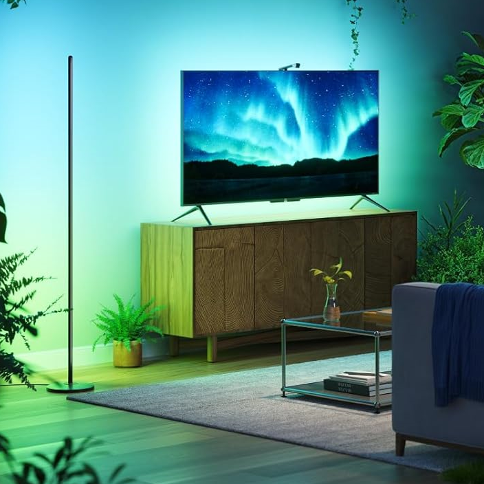 Govee RGBIC Floor Lamp